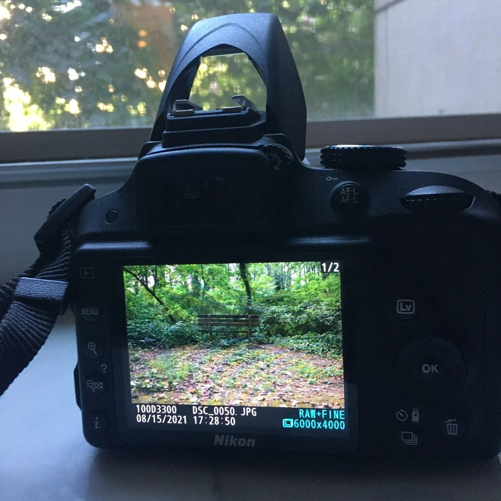 Nikkon D3300